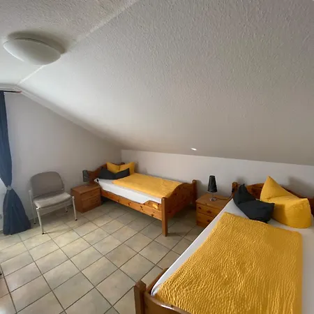 Gute Nacht 美因河畔法兰克福